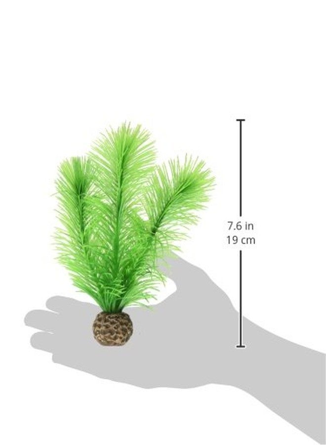 biOrb مجموعة نباتات السرخس الريشية من بي أورب 46083.0 لأحواض السمك الصغيرة الخضراء - Image 4